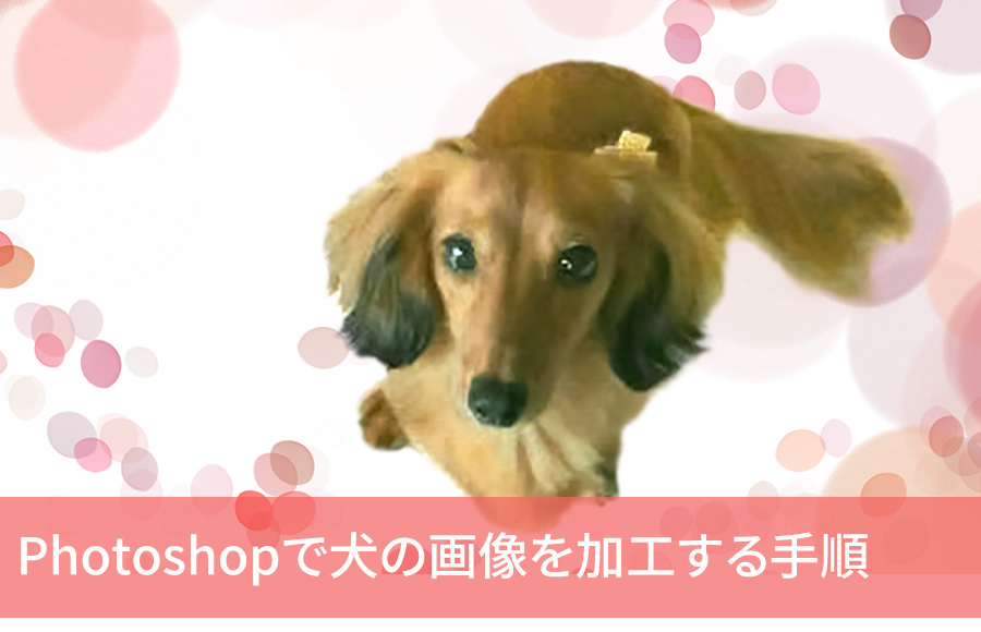 Photoshopで犬の画像を加工する手順 トーモ ライフ